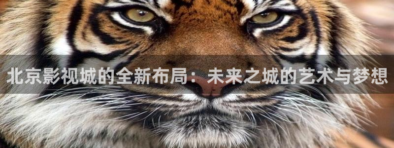 yy4480伦理片：北京影视城的全新布局：未来之城的艺术与梦想