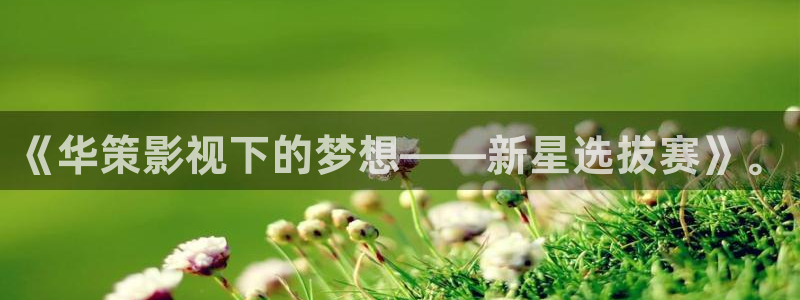 yy4480在线免费观看视频：《华策影视下的梦想——新星选拔赛》。