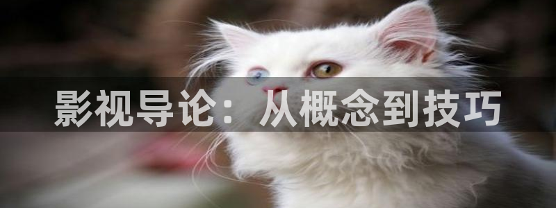 yy4480青苹果在线观看免：影视导论：从概念到技巧